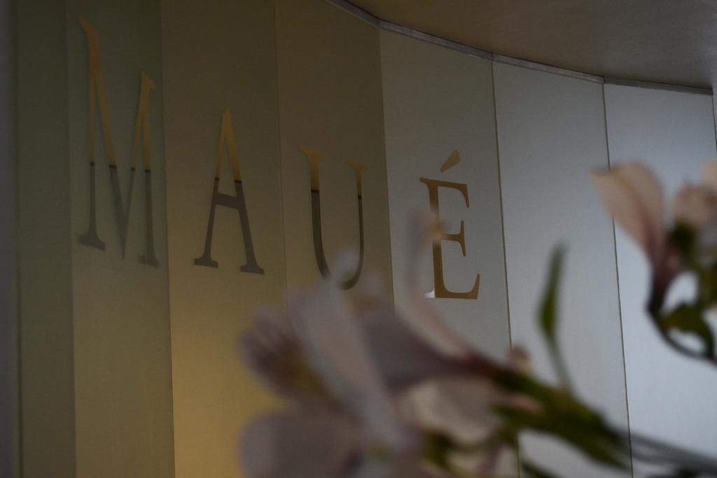 Maue Apartahotel Capdevila